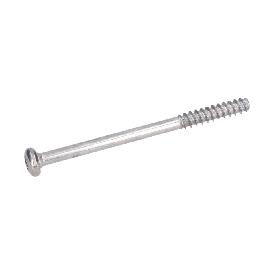 Torx Mercimek Başli Vida (Torx Oval-Head Screw) (1613435041)