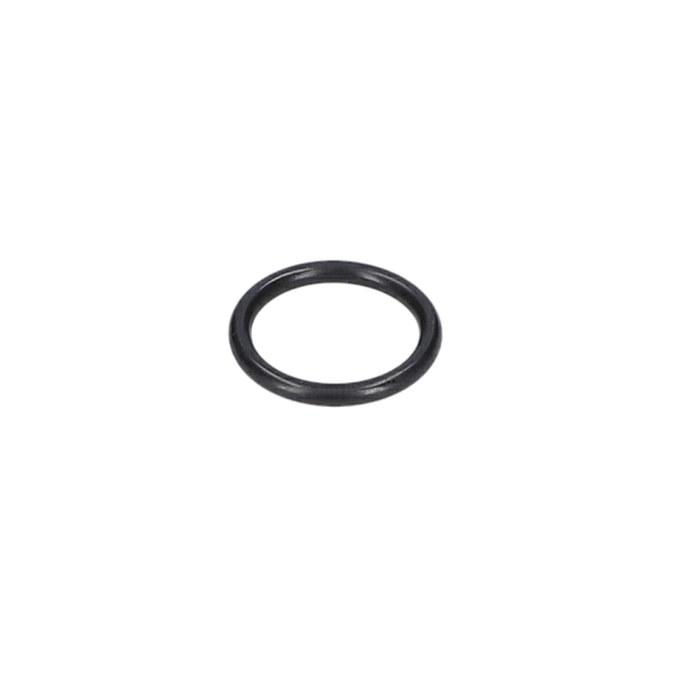 O Ring (O-Ring) (1610210116)