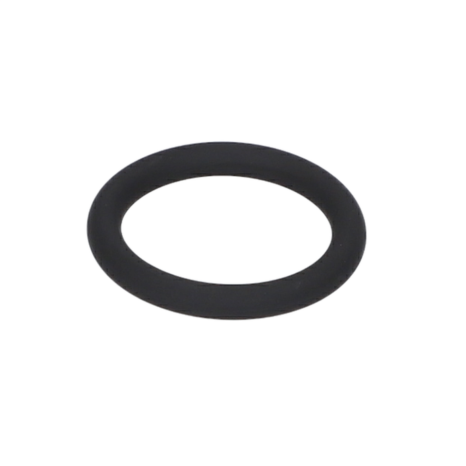 O Ring (O-Ring) (1610210122)