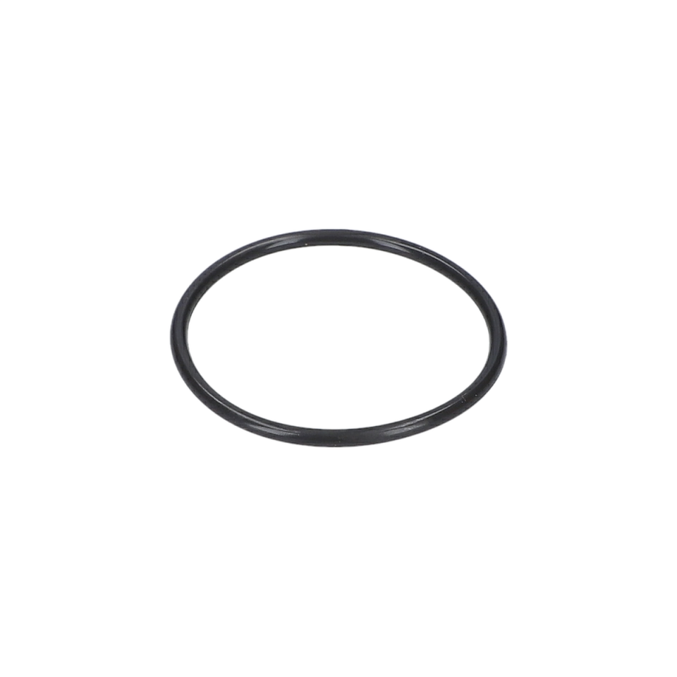 O Ring (O-Ring) (1610210129)
