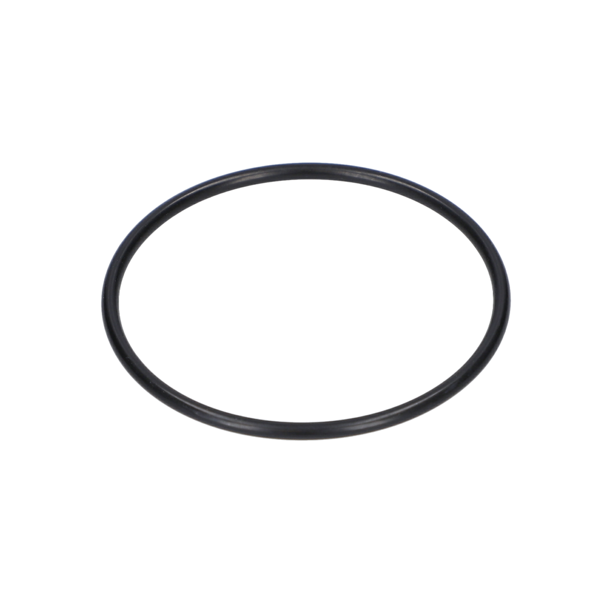 O Ring (O-Ring) (1610210134)