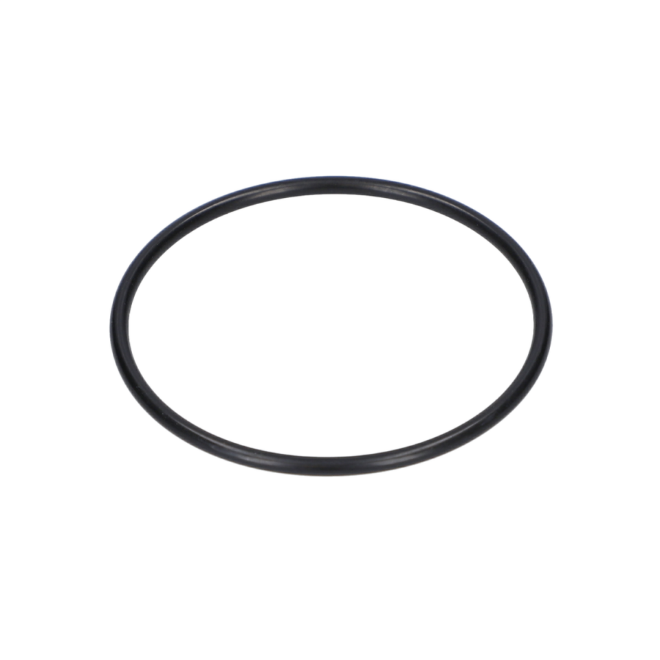 O Ring (O-Ring) (1610210134)