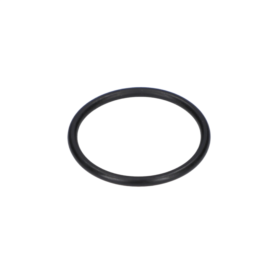 O Ring (O-Ring) (1610210139)