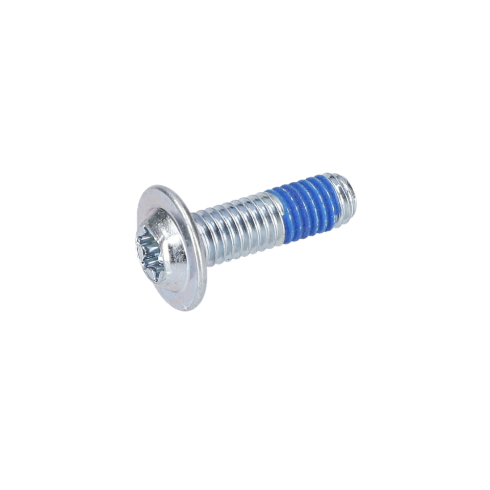 Torx Mercimek Başli Vida (Torx Oval-Head Screw) (1613490010)