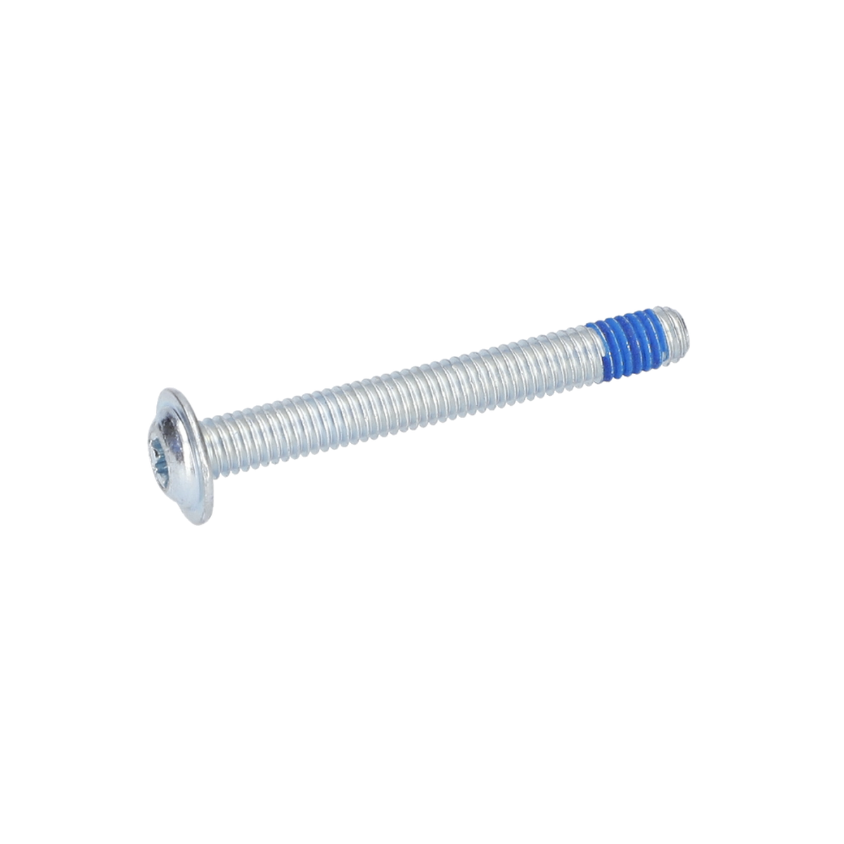 Torx Mercimek Başli Vida (Torx Oval-Head Screw) (1613490011)