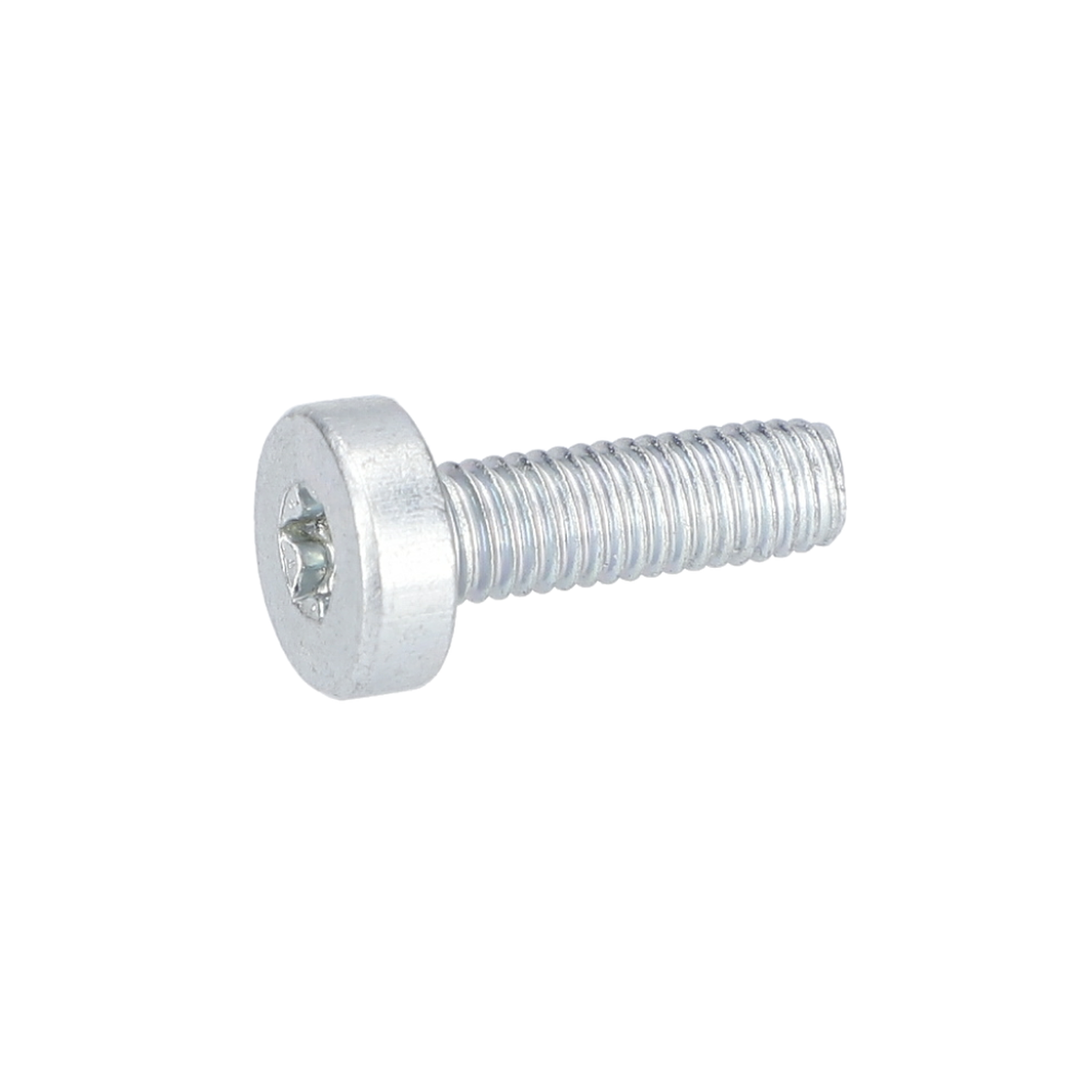 Silindir Vida (Thread-Forming Tap. Screw) (1613490014)