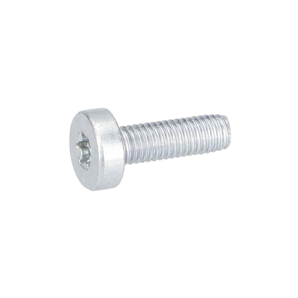 Silindir Vida (Thread-Forming Tap. Screw) (1613490014)