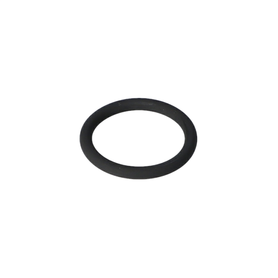 O Ring (O-Ring) (1610210144)