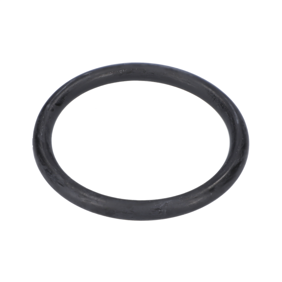 O Ring (O-Ring) (1610210149)