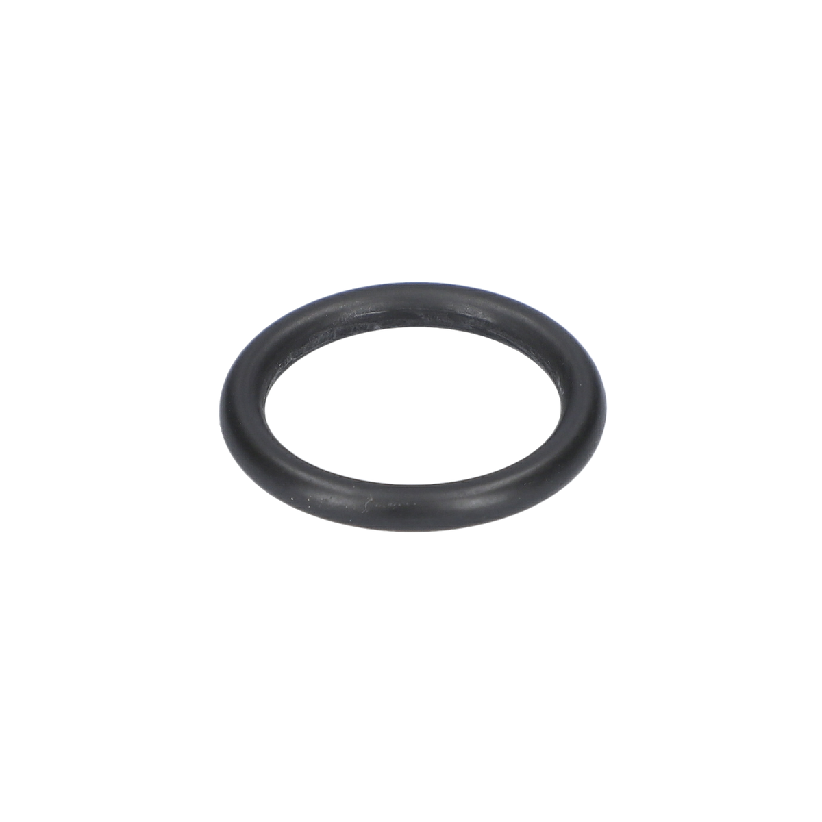 O Ring (O-Ring) (1610210163)