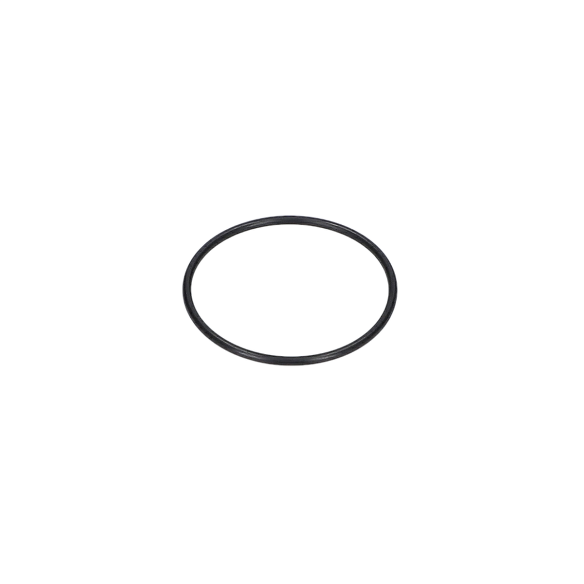 O Ring (O-Ring) (1610210173)