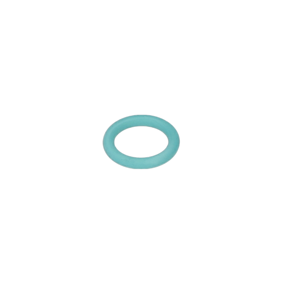 O Ring (O-Ring) (1610210177)
