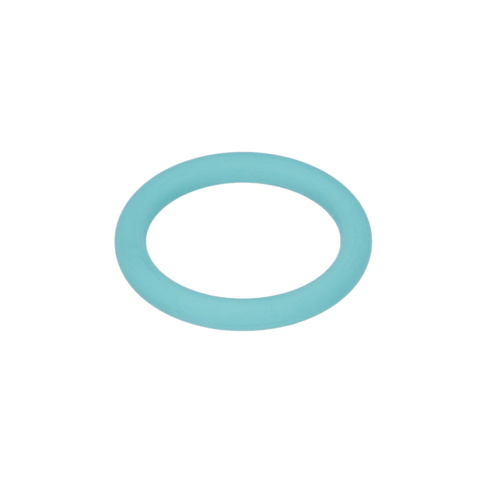 O Ring (O-Ring) (1610210182)