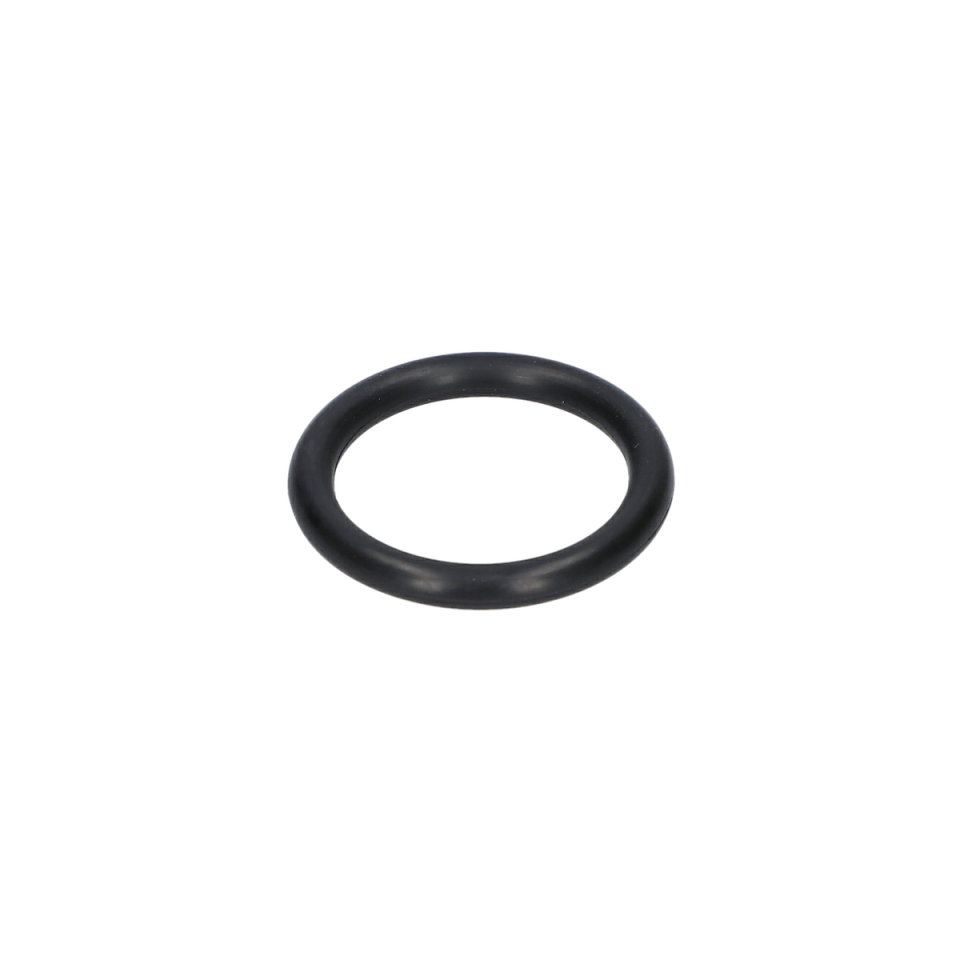 O Ring (O-Ring) (1610210194)