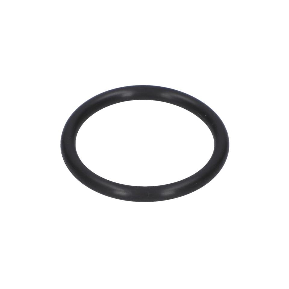 O Ring (O-Ring) (1610210195)