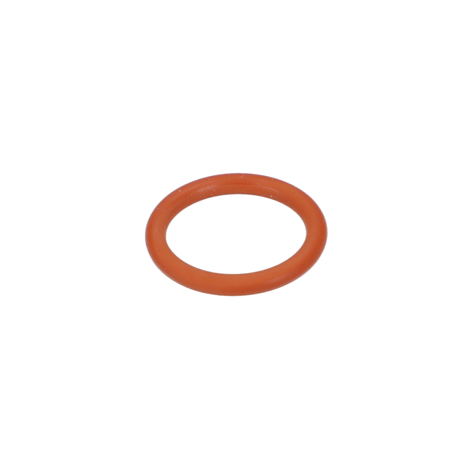 O Ring (O-Ring) (1610210204)
