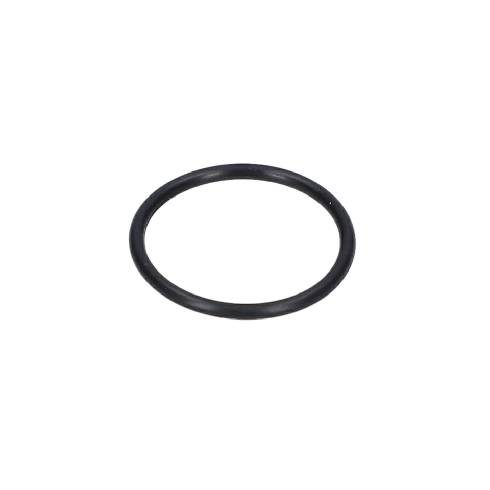 O Ring (O-Ring) (1610210208)