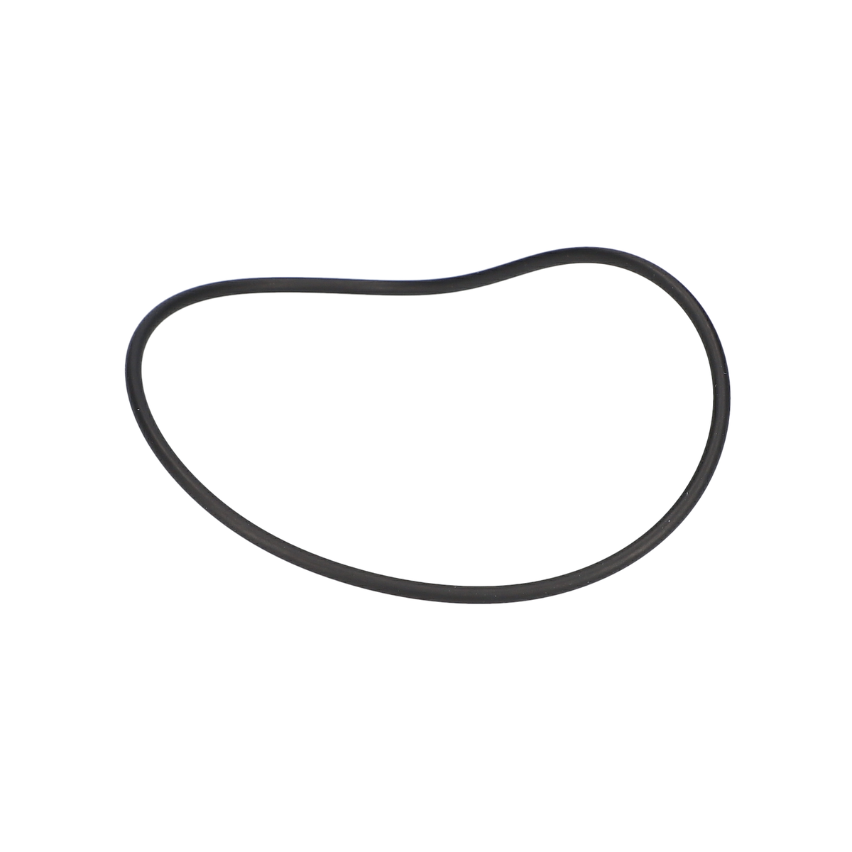 O Ring (O-Ring) (1610210212)