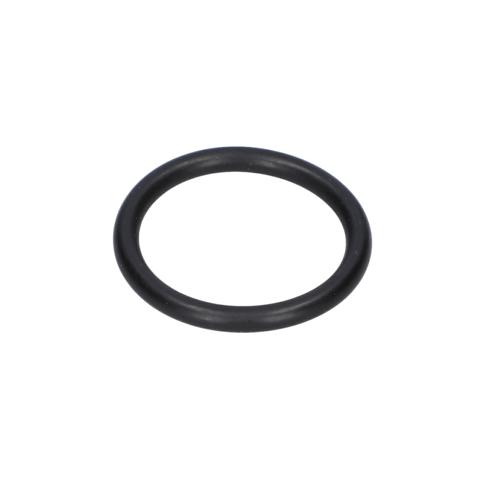 O Ring (O-Ring) (1610210213)