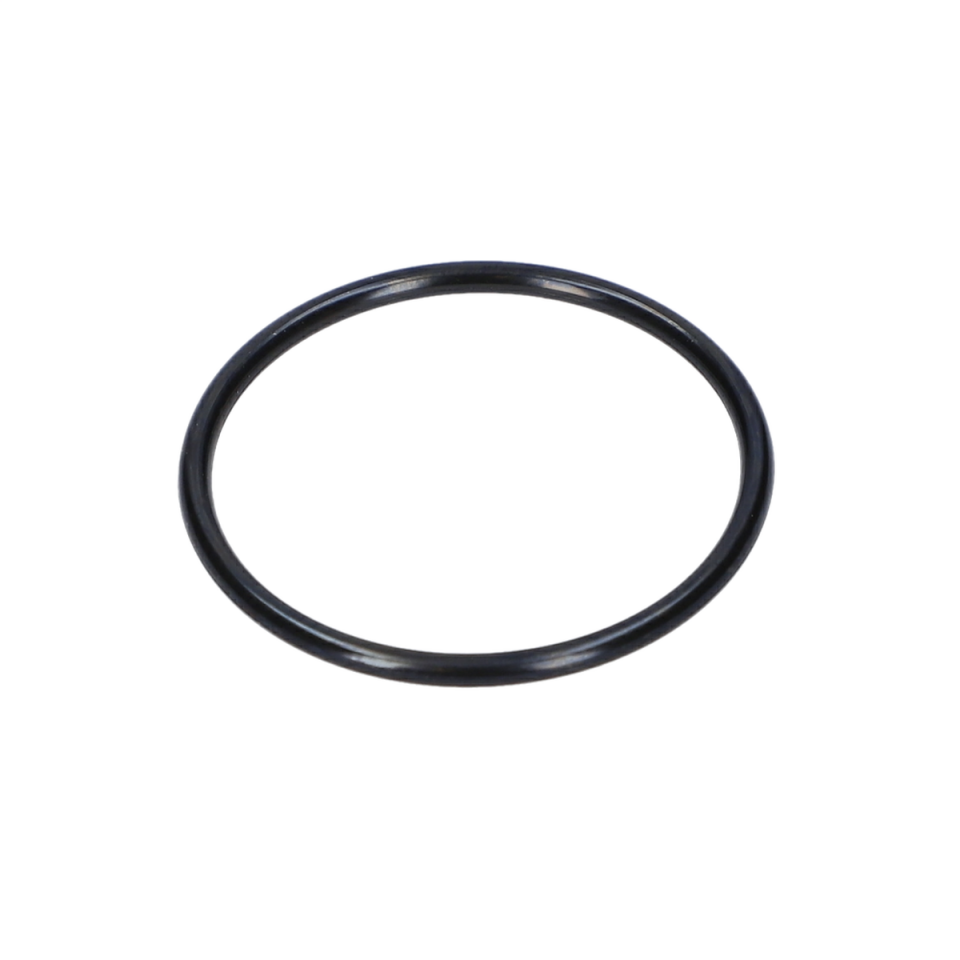 O Ring (O-Ring) (1610210224)