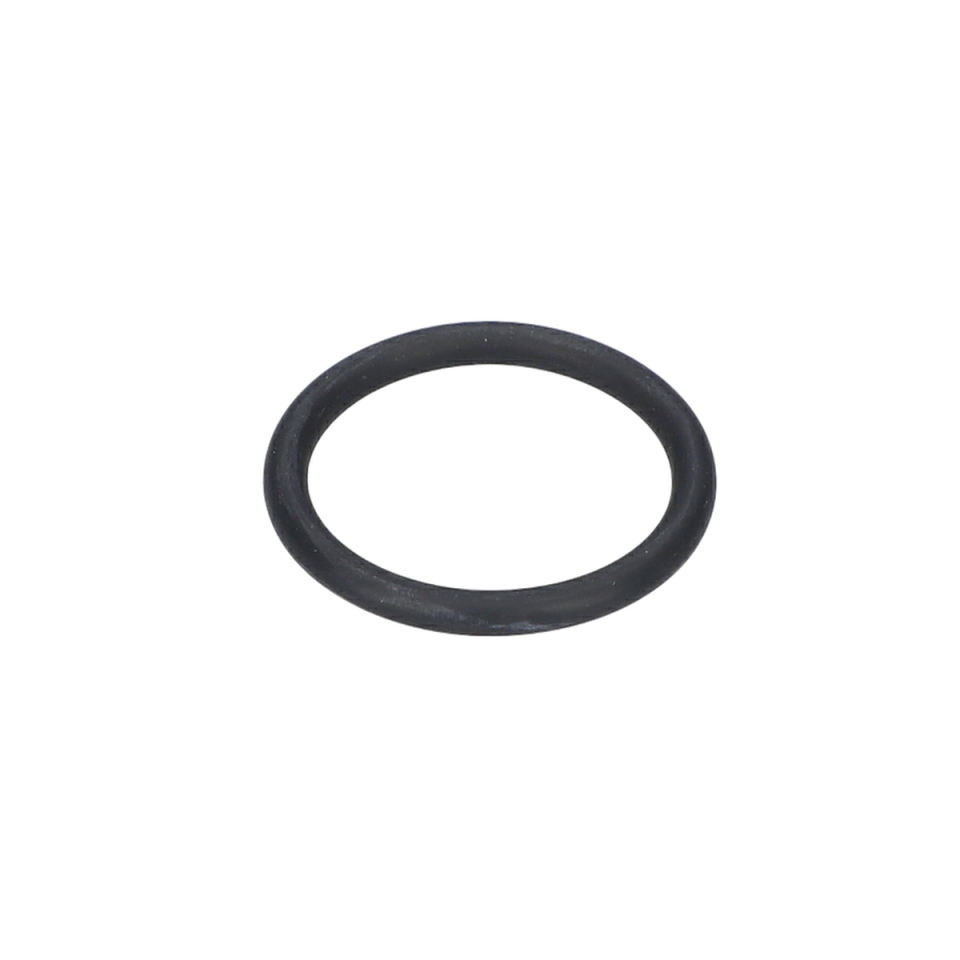 O Ring (O-Ring) (2609390555)