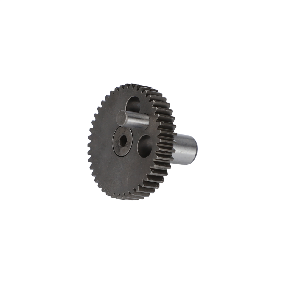 Eksantrik Dişli (Eccentric Cog Wheel) (1619P13946)