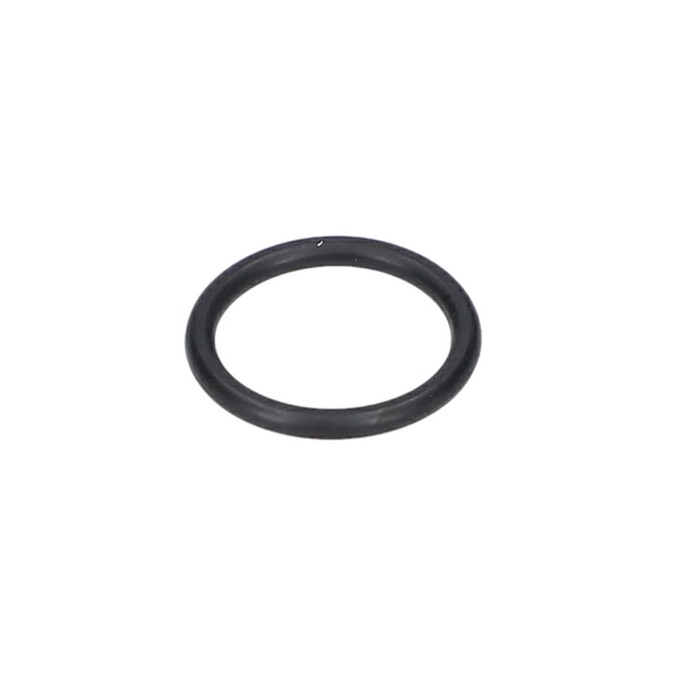 O Ring (O-Ring) (F016F03431)