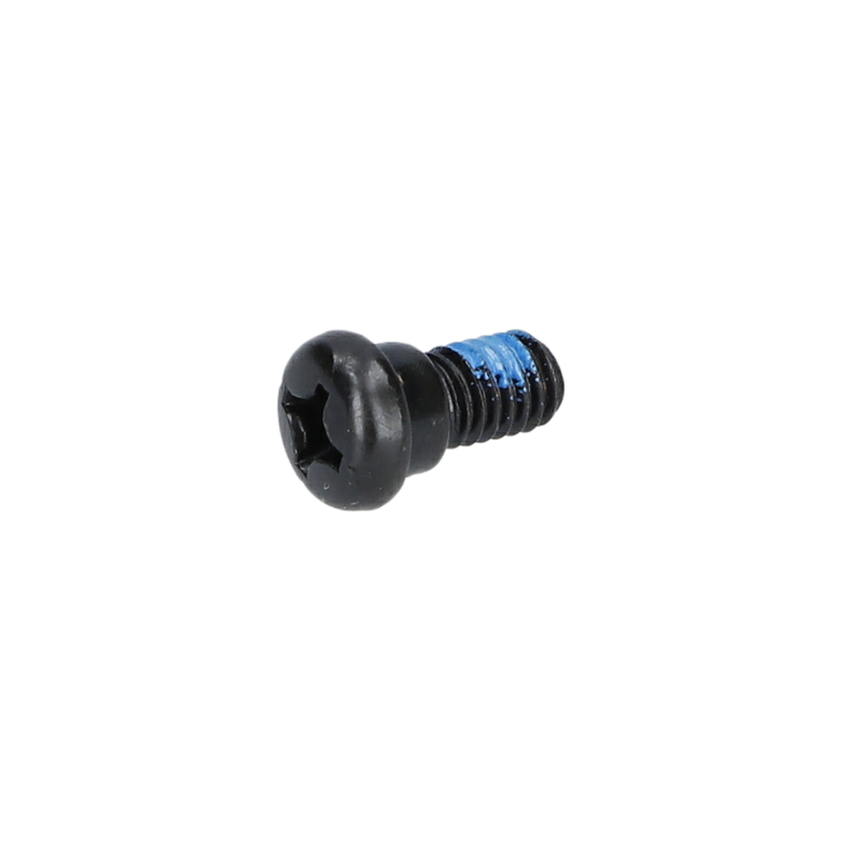 Vida (Screw) (2610910799)