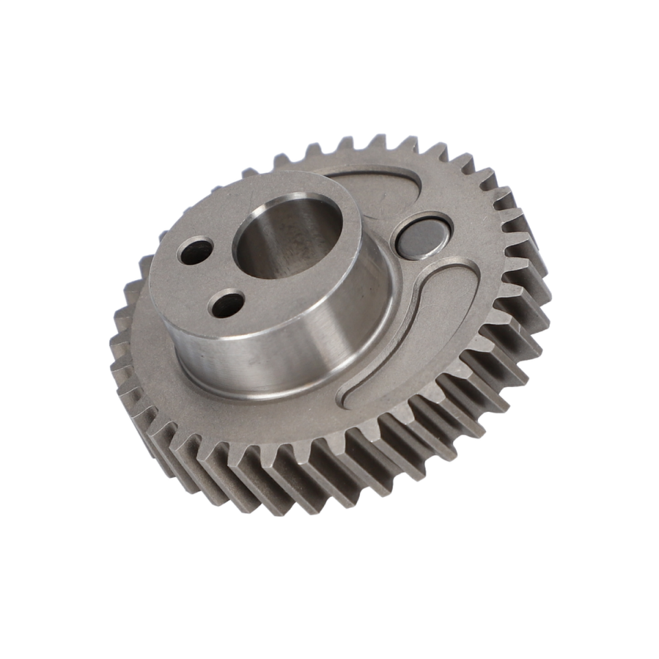 Eksantrik Dişli (Eccentric Cog Wheel) (1619P07192)