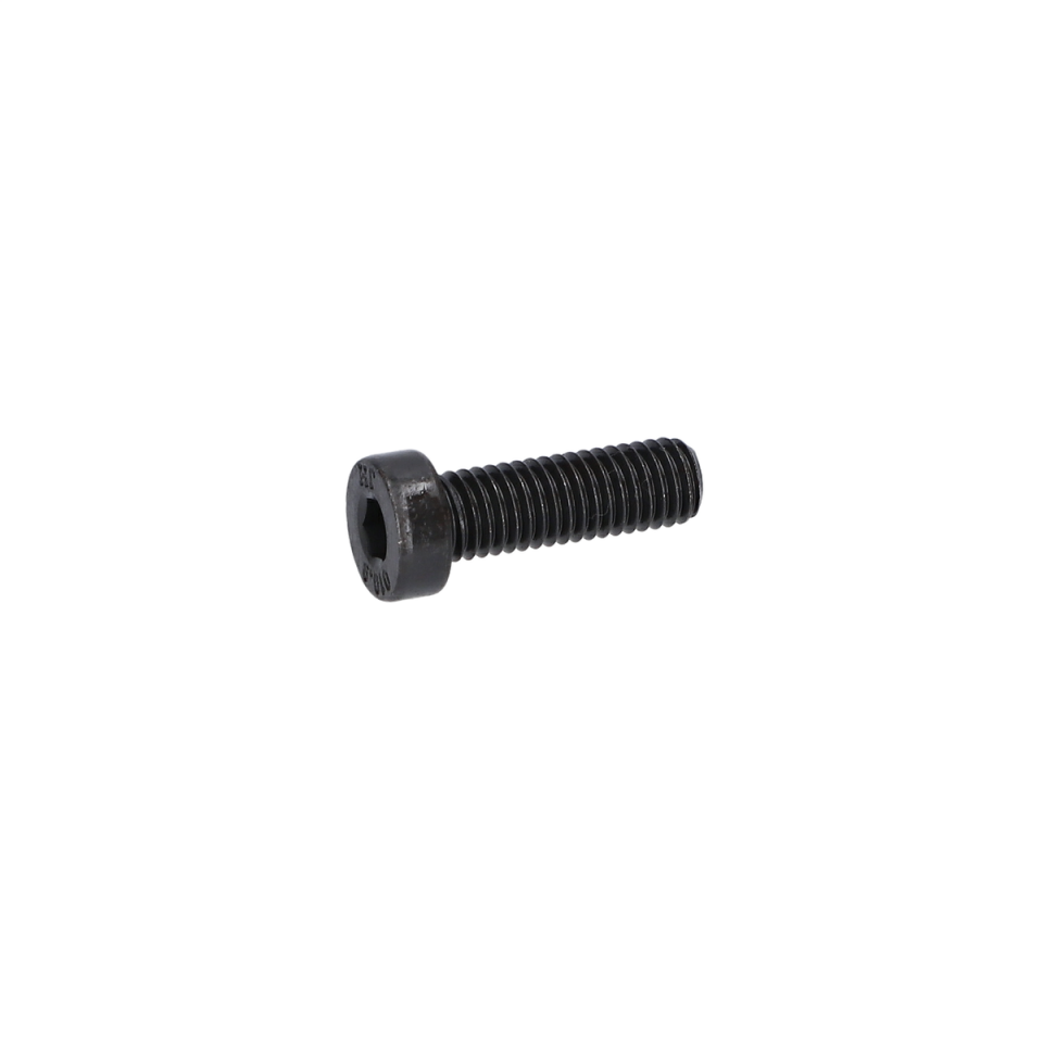 Alen Vida (Hex Socket Head Cap Screw) (1600A015G7)
