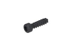 Yildiz Başli Vida (Cross Recessed-Head Screw) (2615294035)