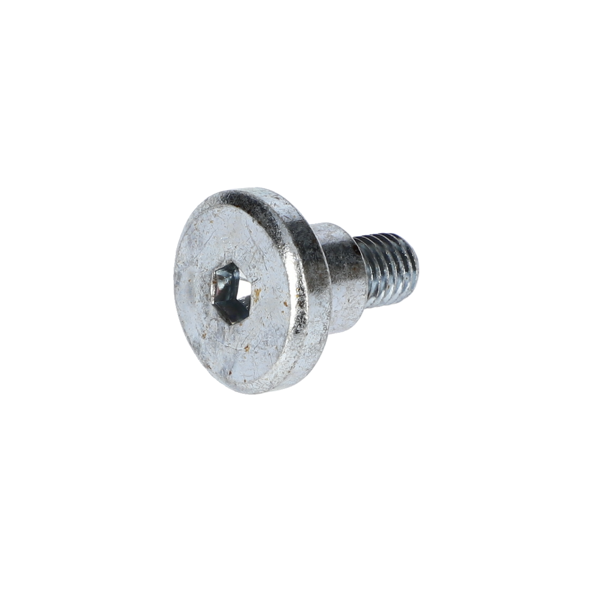 Altigen Vida (Hex Screw) (160343507R)
