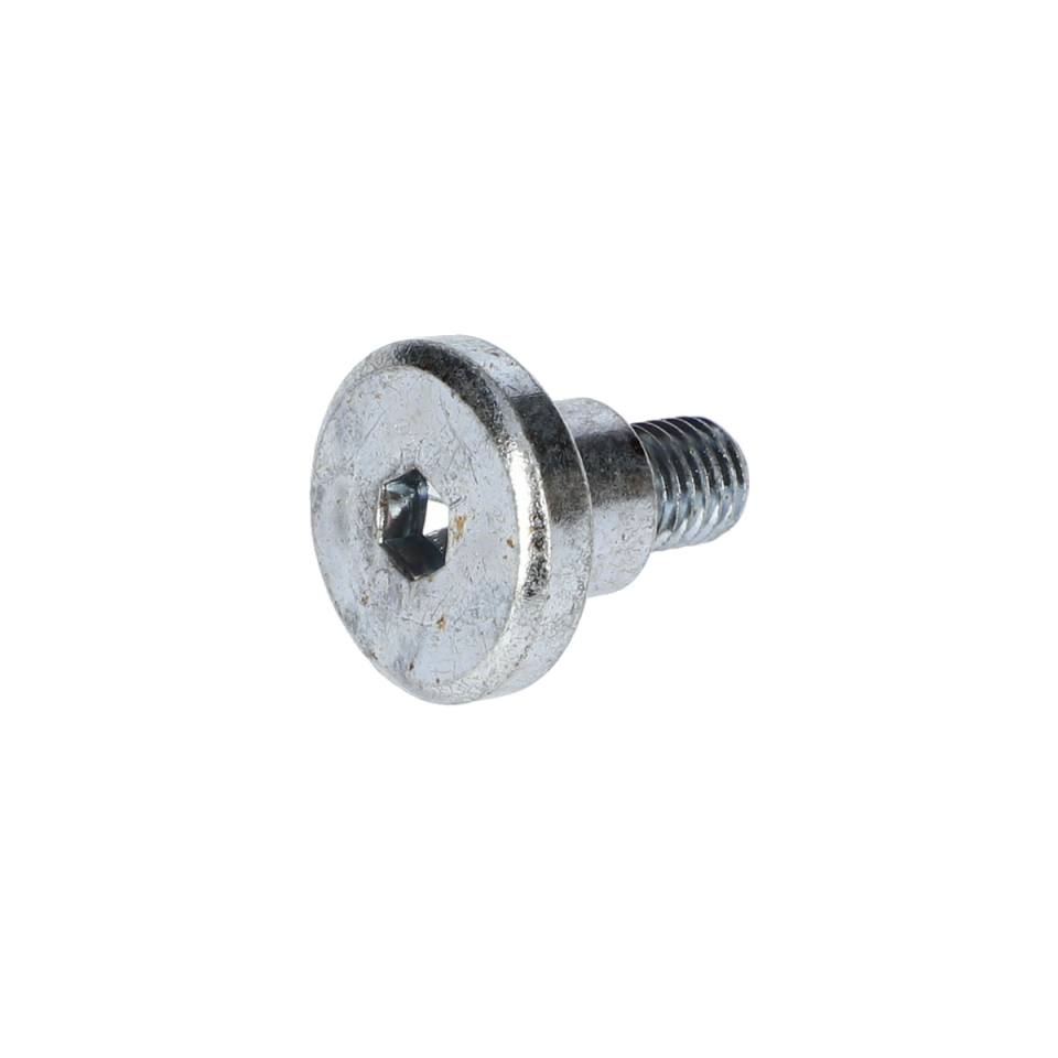 Altigen Vida (Hex Screw) (160343507R)