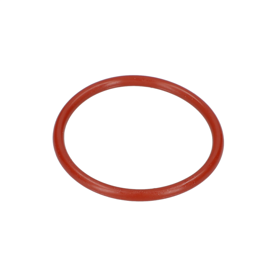 O Ring (O-Ring) (1610290108)