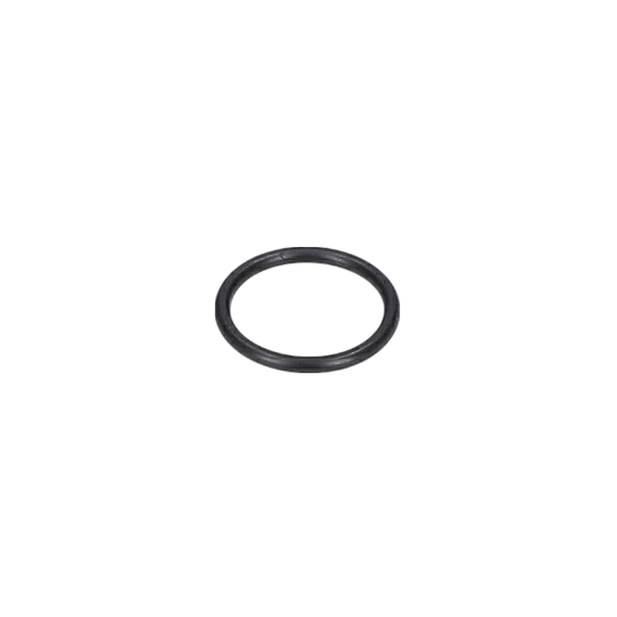 O Ring (O-Ring) (3600210003)