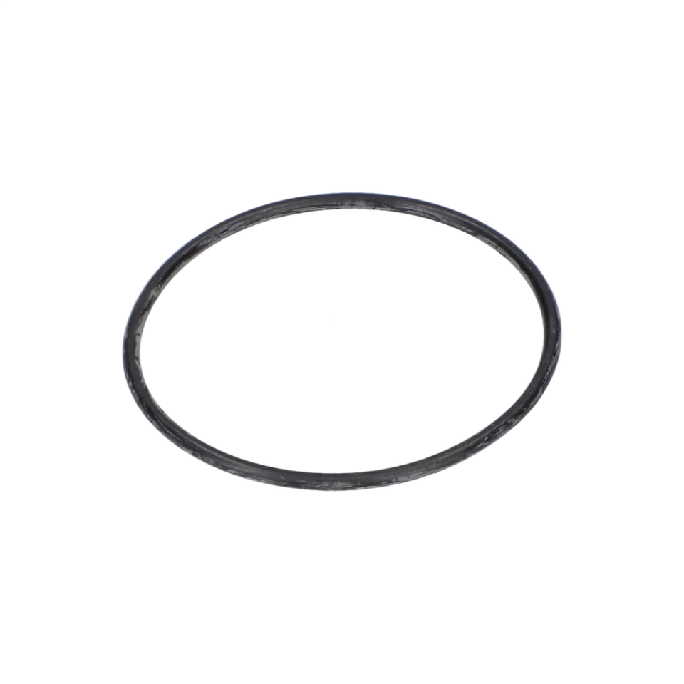 O Ring (O-Ring) (3600210006)