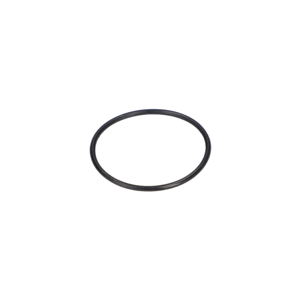 O Ring (O-Ring) (3600210012)