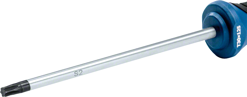 Bosch Profesyonel Torx Tornavida TX30x125