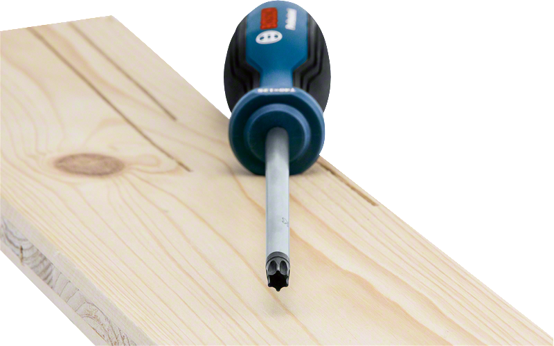 Bosch Profesyonel Torx Tornavida TX40x125