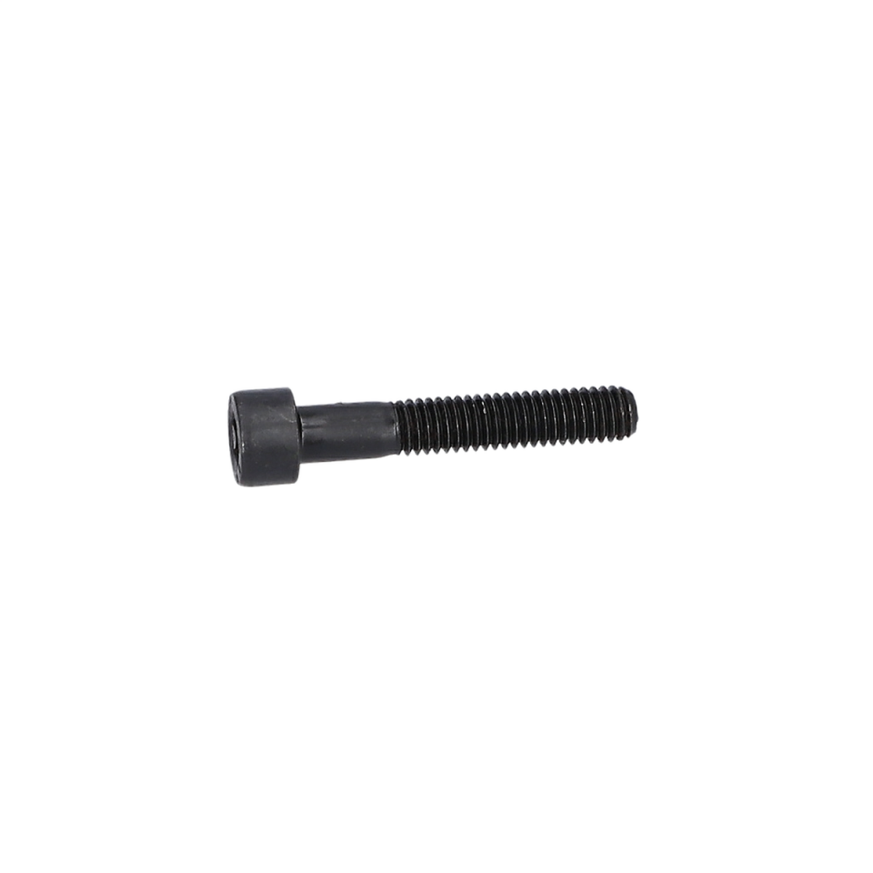 Alen Vida (Hex Socket Head Cap Screw) (1600A0073N)