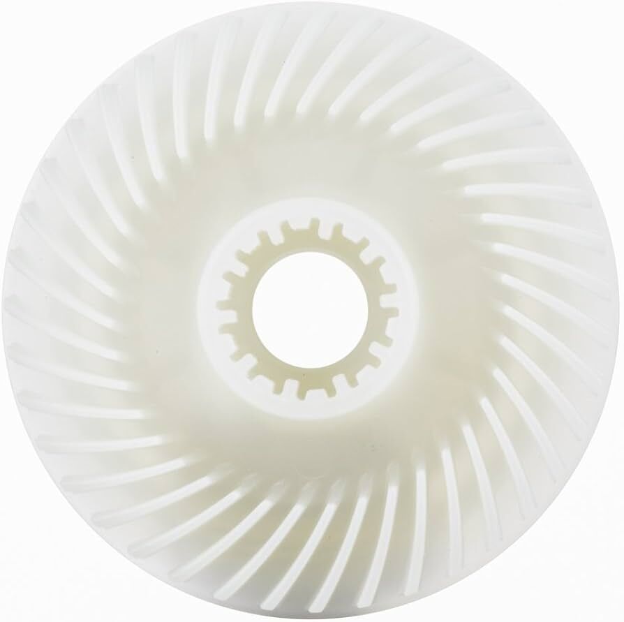 Fan (Fan) (1606610132)