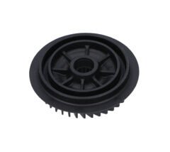 Fan (Fan) (1606610141)