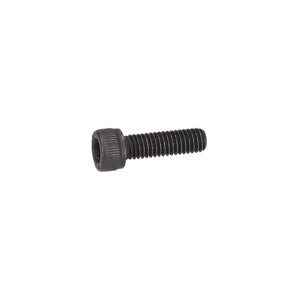 Vida (Screw) (2610303026)