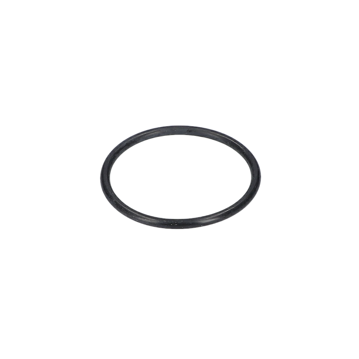 O Ring (O-Ring) (3600210046)