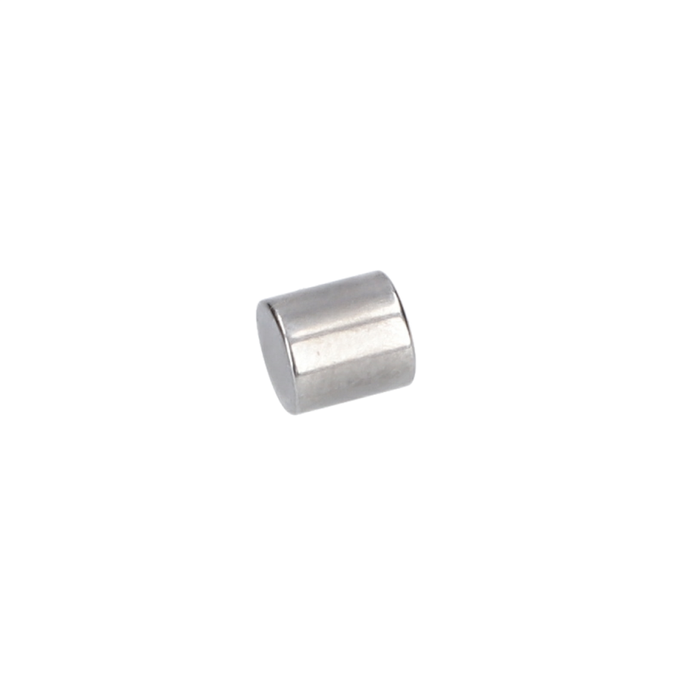 Silindirik Röle (Cylindrical Roller) (1619P07749)