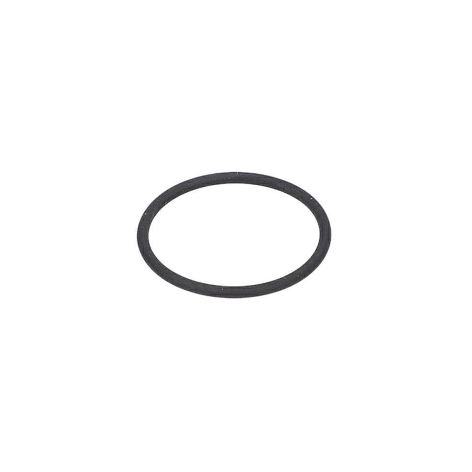 O Ring (O-Ring) (3600210060)
