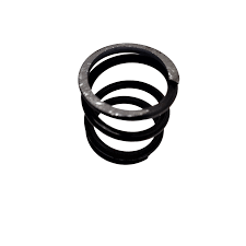 Baskı Yayı (Compression Spring) (1614611020)
