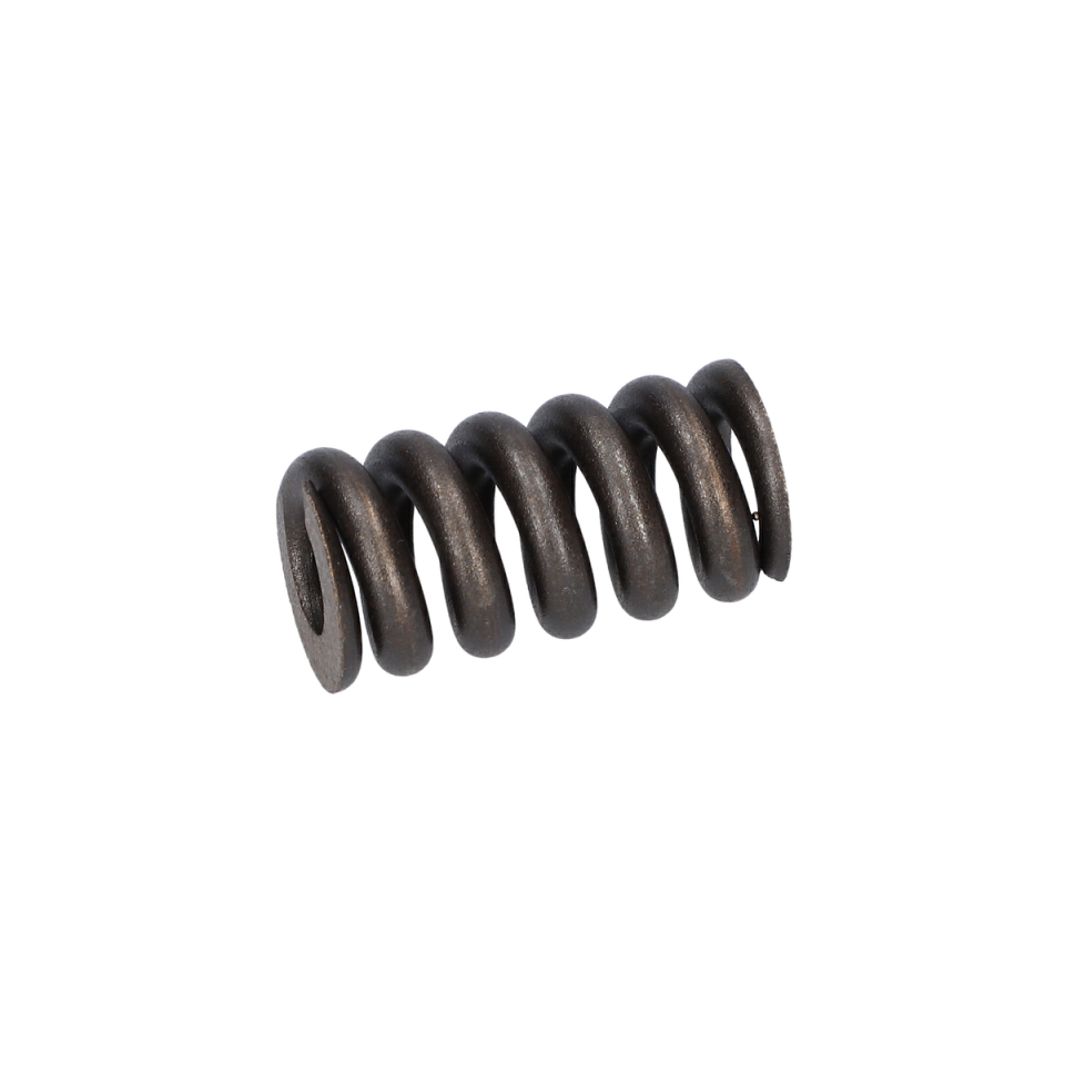 Baskı Yayı (Compression Spring) (1614614006)