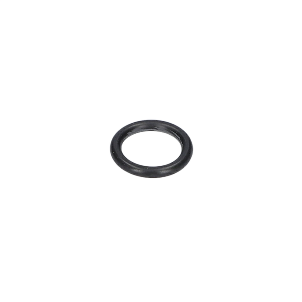 O Ring (O-Ring) (3600210115)