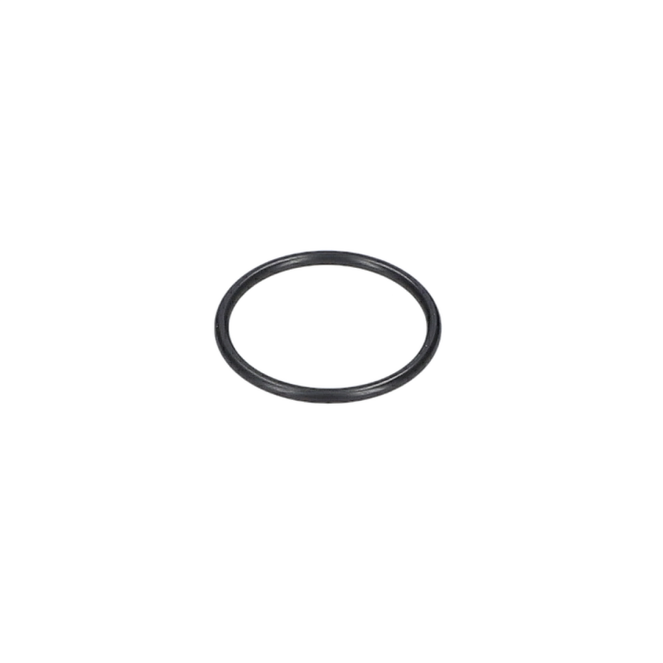 O Ring (O-Ring) (3600210122)